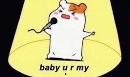 银时吃瓜酱,揭秘美食背后的趣味故事