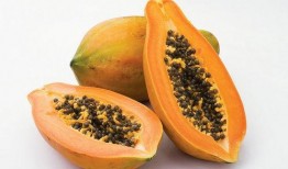 八目瓜怎么吃,解锁美味新体验