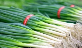 丁山吃大瓜,畅享夏日大瓜盛宴