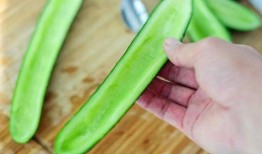 占瓜整根怎么吃,探索占瓜整根的多样食用方法