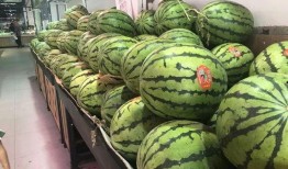 立秋吃瓜群众介绍,探寻民间传统美食文化