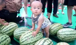 吃瓜图片 长图,长图揭秘各式吃瓜瞬间