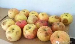 吃葫芦瓜烧心,揭秘消暑美食背后的健康之谜