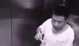 吃瓜无盲点,揭秘娱乐圈幕后真相