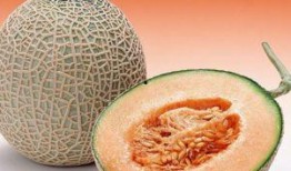 肛裂术后吃哈密瓜,美味与健康的完美结合