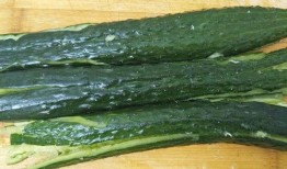 盆瓜可以吃吗,美味与观赏两相宜的盆栽选择