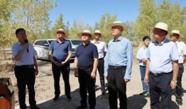 田斌与五步蛇吃瓜,一场惊心动魄的吃瓜奇遇