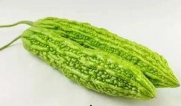 吃瓜箩,探寻民间美食的独特魅力