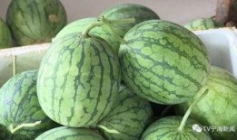 彩虹吃瓜视频在线观看,揭秘热门视频背后的趣味与真相