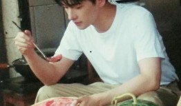 吃瓜图小型,揭秘吃瓜图背后的趣味与真相