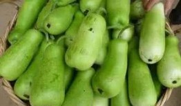 吃葫芦瓜的图片,清新口感，夏日解暑佳品