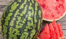 100元吃瓜视频,揭秘吃瓜视频背后的美食之旅