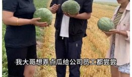 围观吃瓜图片,揭秘网络热议背后的真相