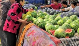 国内吃瓜国外吃瓜,揭秘国内外“吃瓜群众”的独特魅力