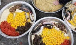 鸟市 吃瓜,吃瓜群众揭秘鸟类交易背后的故事