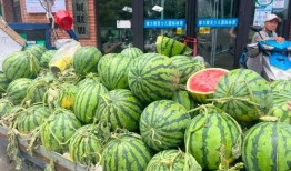 群吃的瓜,群吃瓜背后的真相与反思