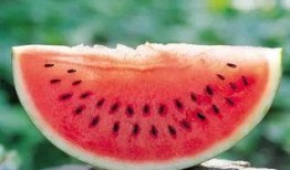 丁山吃大瓜,畅享夏日大瓜盛宴