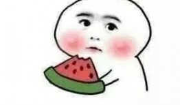 吃瓜的咩咩咩,吃瓜群众视角下的咩咩咩事件全解析