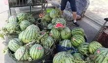 泰华城吃瓜事件,一场网络热议背后的真相揭秘