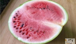 梦见别人吃坏瓜