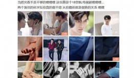 追星吃瓜中国,从追星到吃瓜，揭秘中国粉丝文化现象