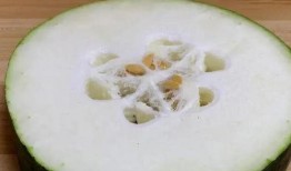 冬天吃三瓜好吗,三瓜美食，温暖滋补的选择