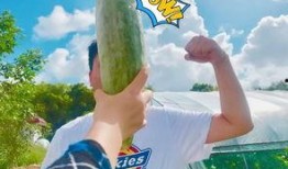 怎么劝朋友吃瓜,巧妙沟通的艺术