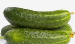 吃瓜不影响减肥吧