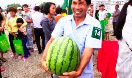 宁波象山吃瓜,宁波象山特色美食之旅