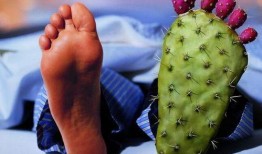 痛风红瓜可以吃吗,红瓜食用指南