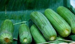 每日吃瓜有哪些,轻松掌握娱乐圈新鲜事