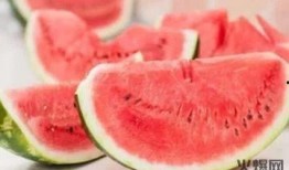 时空吃瓜在哪看,观看指南与精彩内容抢先看