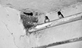 同在屋檐下吃瓜,共享瓜田乐趣