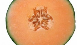 血透可以吃哈密瓜吗,哈密瓜的适宜摄入探讨