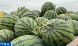 新华城吃瓜,吃瓜群众的热闹盛宴