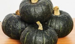 黑金贝贝瓜怎么吃,黑金贝贝瓜的多样食法探索