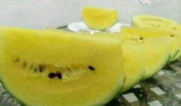 围观吃瓜图片,揭秘网络热议背后的真相