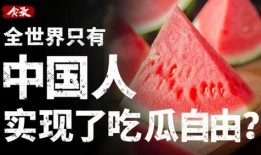 中国青春吃瓜指南,网络时代的青春潮流与社交风向标