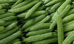 5.1吃瓜官网,揭秘娱乐圈新鲜瓜果，带你畅游娱乐盛宴