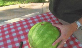 库库吃瓜,揭秘娱乐圈的甜蜜与苦涩