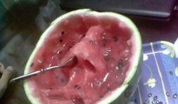 吃瓜界的牛人,揭秘吃瓜界的牛人传奇故事