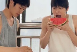 居家吃瓜小说,揭秘居家吃瓜小说的甜蜜诱惑