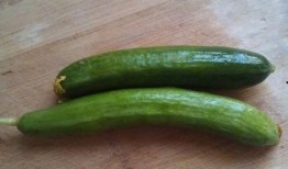 吃四瓜和五瓜,夏日消暑新主张