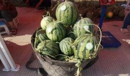 瓜哥吃瓜营,揭秘娱乐圈那些不为人知的秘密