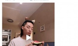 陈泽视频吃瓜,揭秘娱乐圈幕后故事