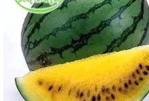 在古龙世界的吃瓜,一瓜激起千层浪，揭秘武林秘闻背后的真相