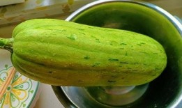 吃瓜做法,创意吃瓜攻略，解锁夏日清凉新姿势