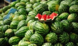 新鲜吃的瓜篓,夏日清凉新体验