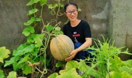 农村吃瓜女子是谁,她背后的故事与启示