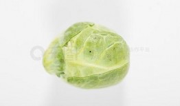 吃瓜视频 模板,吃瓜群众视角下的明星幕后故事